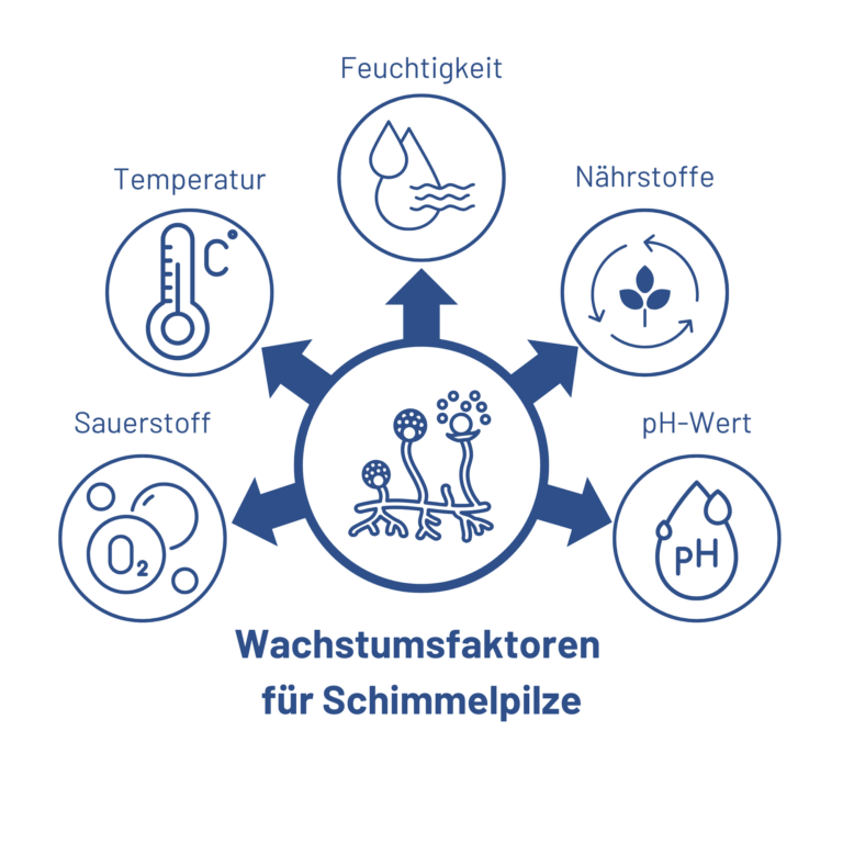 Die Wachstumsfaktoren von Schimmel sind Sauerstoff, Temperatur, Feuchtigkeit, Nährstoffe und der pH-Wert