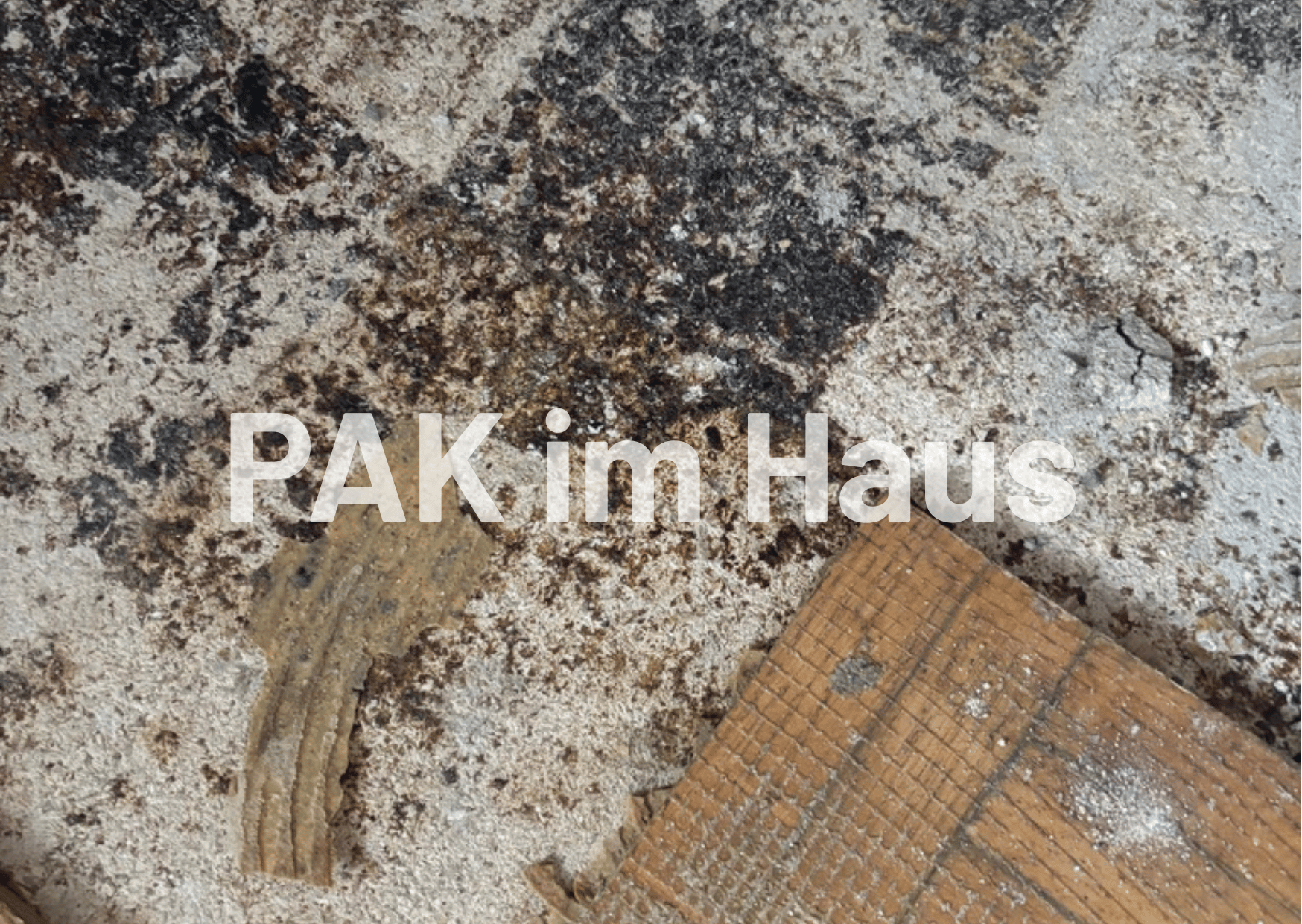PAK im Haus erkennen und sanieren
